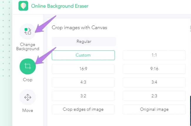 passport background editor with apowersoft