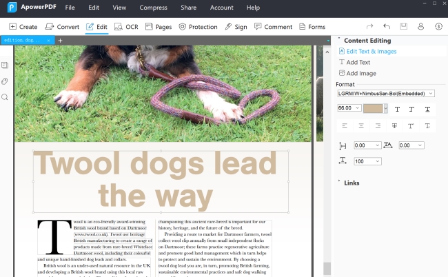 Edit Text with ApowerPDF