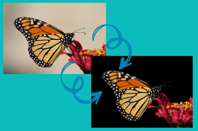 how to make the background of a picture black