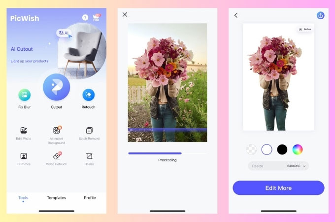 remove background using picwish
